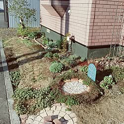 玄関/入り口/植物/日替わり投稿企画!木曜日/庭の花/花壇...などのインテリア実例 - 2017-05-18 16:54:02