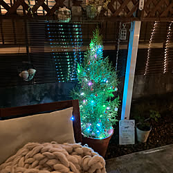 クリスマス/ツリー/庭　ライトアップ/ブランケット/IKEA ソファー...などのインテリア実例 - 2020-11-03 20:22:40
