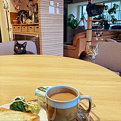 コーヒー/朝食/キャットタワーDIY/しらすトースト/猫と暮らす家...などのインテリア実例 - 2022-11-15 08:13:06