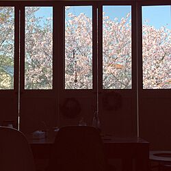 玄関/入り口/八重桜/リース部/窓からの景色/桜...などのインテリア実例 - 2017-04-19 07:52:04