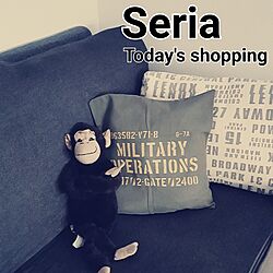 ベッド周り/セリア/ベッドではなくソファ/IKEA出身のウッキー♪/セリアのコットンマットでクッションカバーのインテリア実例 - 2016-08-10 18:36:15