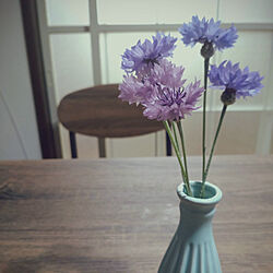キッチン/賃貸アパート/賃貸でも楽しく/花瓶のお花/植物のある暮らしのインテリア実例 - 2022-04-30 07:23:53
