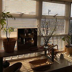 棚/出窓のインテリア/鏡/観葉植物/DIYのインテリア実例 - 2017-03-06 07:57:15