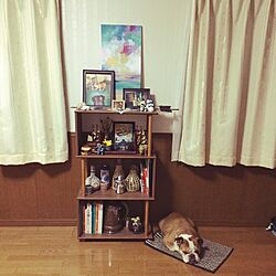 棚/living roomのインテリア実例 - 2016-10-15 20:54:28