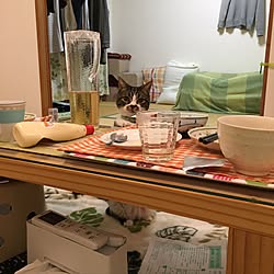 リビング/ねこのいる風景/猫/ねこ飼い部屋のインテリア実例 - 2017-05-14 00:32:08