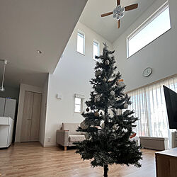 リビング/クリスマスツリー150cm/クリスマスツリー180cm/クリスマスツリー/クリスマス...などのインテリア実例 - 2023-11-07 19:01:17