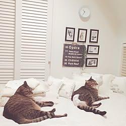 ベッド周り/ねこと暮らす。/NO CAT,NO LIFE❤️/ZARA HOME/ねこばかりですいません...などのインテリア実例 - 2016-10-19 22:36:51