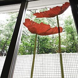 庭・窓のインテリア実例 - 2013-08-21 14:08:27