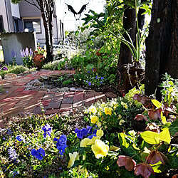 部屋全体/マイガーデンの花/にわのある暮らし/タイルキッチン/花のある暮らし...などのインテリア実例 - 2020-05-22 20:15:42