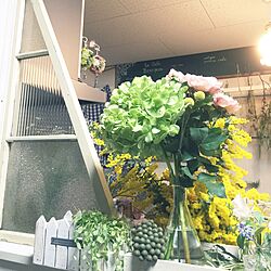 キッチン/古い建具/ミモザ/輸入紫陽花/お花のある暮らしのインテリア実例 - 2016-03-19 18:35:55