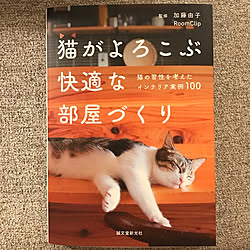 猫がよろこぶ快適な部屋づくり/猫と暮らす/ねこと暮らす/リビングのインテリア実例 - 2022-02-24 17:37:02