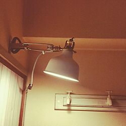 壁/天井/犬用ライト/IKEA 照明のインテリア実例 - 2016-12-18 08:14:49