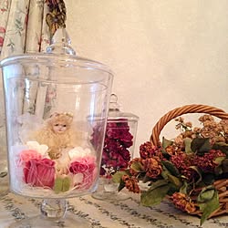 棚/若月まり子さん作品/自家製薔薇のドライフラワー/ガラスドーム/クロスは手作り...などのインテリア実例 - 2016-10-02 08:31:23