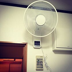 壁/天井/扇風機/ニトリのインテリア実例 - 2017-06-24 00:46:09