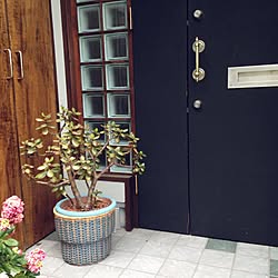 玄関/入り口/植木鉢カバー/IKEA/DIY/100均...などのインテリア実例 - 2017-04-05 14:40:16
