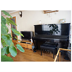 リビング/ピアノがある部屋/珪藻土の塗り壁/緑のある暮らし/雑貨...などのインテリア実例 - 2019-02-01 12:48:09