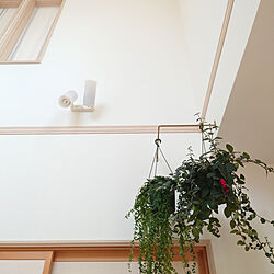 壁/天井/植物と暮らす/植物のある暮らし/吊り下げ観葉植物/吹き抜けのインテリア実例 - 2021-09-13 09:13:01