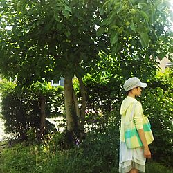 玄関/入り口/札幌/庭のくるみ/くるみ/walnut...などのインテリア実例 - 2016-07-21 00:33:46