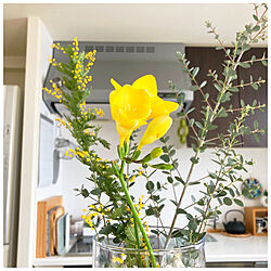 黄色の花/ミモザ/フリージア/キッチンのインテリア実例 - 2023-03-04 08:30:20
