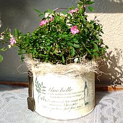 玄関/入り口/花のある暮らし/Garden雑貨/植物/ベランダガーデン...などのインテリア実例 - 2016-11-08 18:42:37