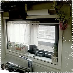 キッチン/DIY/植物/雑貨のインテリア実例 - 2013-12-01 15:12:06