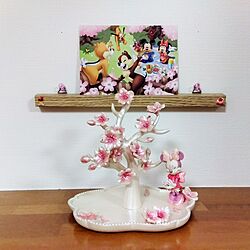 棚/桜のインテリア実例 - 2024-04-03 00:13:52