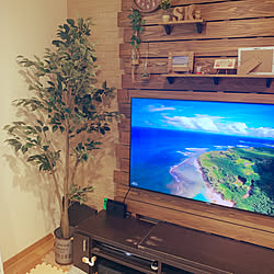 壁掛けTVの方法はブログに載せてます。/テレビ壁掛けDIY/テレビボードDIY/ベンジャミン/フェイクグリーン...などのインテリア実例 - 2021-09-24 18:10:05