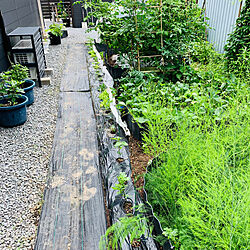 DIY/家庭菜園の暮らしのインテリア実例 - 2023-07-17 15:06:44