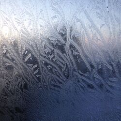 リビング/窓ガラス氷模様のインテリア実例 - 2014-02-12 22:15:47