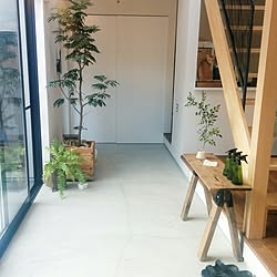 観葉植物/土間/DIY/ソーホースブラケット/ホームセンター 木材...などのインテリア実例 - 2017-02-15 18:41:42