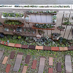 剪定枝のインテリア実例 Roomclip ルームクリップ