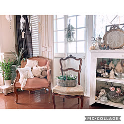 インドアグリーン/観葉植物/antique/French/shabbby chic...などのインテリア実例 - 2020-03-17 10:53:44