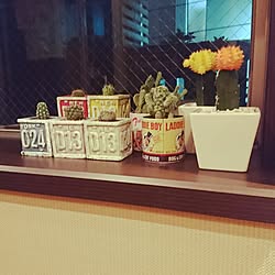 壁/天井/いつもいいねやコメありがとうございます♡/みなさんの素敵なインテリアに癒されてます/カリフォルニアスタイルに憧れる/ワンコと暮らす家...などのインテリア実例 - 2016-08-08 14:58:52