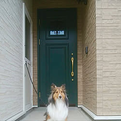 犬 犬と暮らす家 犬と暮らす 玄関 入り口 ペットシャワー などのインテリア実例 19 06 24 10 12 24 Roomclip ルームクリップ