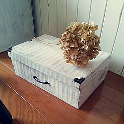 靴の空き箱のインテリア実例 Roomclip ルームクリップ