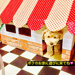 ダンボール 犬小屋のインテリア実例 Roomclip ルームクリップ ダンボール 犬小屋のインテリア実例 Roomclip ルームクリップ