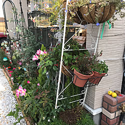 RCの出会いに感謝♡/いいね!ありがとうございます♪/いいね押し逃げすみません^^;/いいね&コメント&フォロー感謝♡/コメントお返し遅くてすいません...などのインテリア実例 - 2019-11-04 19:01:49