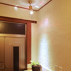棚 Diy Diy棚 コーナン ジャングル化計画 などのインテリア実例 05 18 13 44 10 Roomclip ルームクリップ 棚 Diy Diy棚 コーナン ジャングル化計画 などのインテリア実例 05 18 13 44 10 Roomclip ルームクリップ