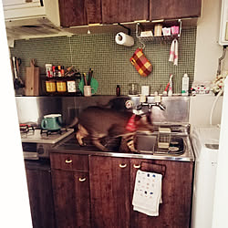 壁紙屋本舗 輸入壁紙ｄｉｙのインテリア 手作りの実例 Roomclip ルームクリップ