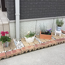 ピンコロ石 カインズホーム カインズ 花壇ｄｉｙ 花壇 などのインテリア実例 17 07 28 15 04 51 Roomclip ルームクリップ
