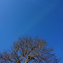 バス/トイレ/おすすめ曲を聴きながら…/ゼンタングル部/冷え性部/ケチ部...などのインテリア実例 - 2017-02-12 10:21:23