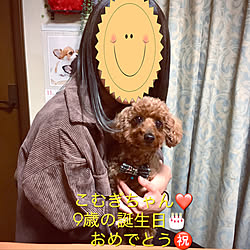 わんこのいる暮らし/こむぎちゃん誕生日/こむぎちゃん♡/感謝♡感謝♡感謝♡/いいね&コメント&フォロー感謝♡...などのインテリア実例 - 2019-11-10 18:54:52