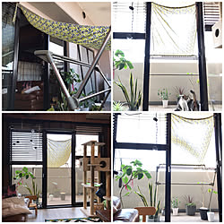部屋全体/2018.7.19/模様替え/いいね&フォローありがとうございます♡/見てくれてありがとう♡...などのインテリア実例 - 2018-07-19 10:49:29
