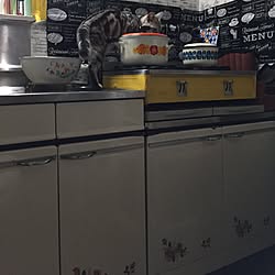 キッチン/レトロ✖️男前⁇/新入りのホーロー鍋/ガスコンロりめいく?/輸入レンガ...などのインテリア実例 - 2017-05-03 10:46:10