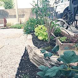 庭 段差をつけるのインテリア実例 Roomclip ルームクリップ