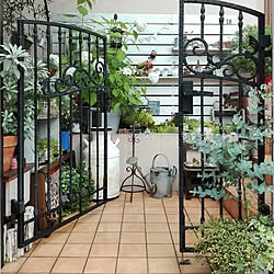 玄関/入り口/朝の1枚/多肉の寄せ植え/グリーンのある暮らし/雑貨...などのインテリア実例 - 2017-06-18 09:14:20