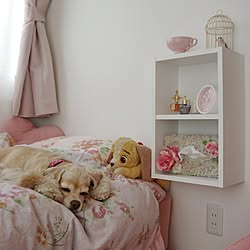 わんわん物語のインテリア実例 Roomclip ルームクリップ