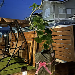 ブランコ ブランコ Diyのインテリア 手作りの実例 Roomclip ルームクリップ