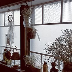 Diy アクリル板のインテリア 手作りの実例 Roomclip ルームクリップ