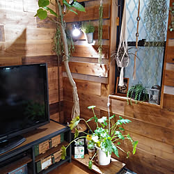 リビング/観葉植物/多肉植物/BotaNice/吹き抜けリビング...などのインテリア実例 - 2019-04-25 17:37:06